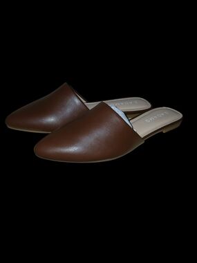 J Adams Brown Slip-On Pointed Toe Mules